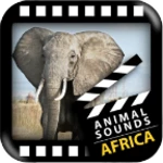 Logo of Best African Animals Sound android Application 