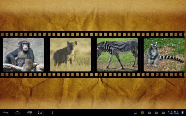 Best African Animals Sound android App screenshot 2