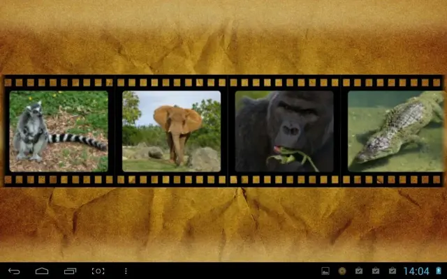 Best African Animals Sound android App screenshot 4